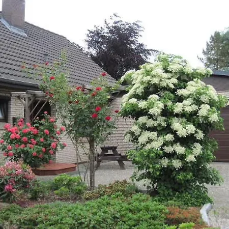 Hennig Drelsdorf